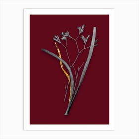 Vintage Anigozanthos Flavida Black and White Gold Leaf Floral Art on Burgundy Red n.0078 Art Print