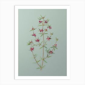 Vintage Heath Mirbelia Branch Botanical Art on Mint Green n.0950 Art Print