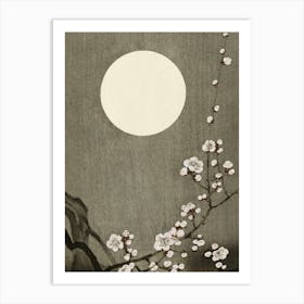 Asian Cherry Blossoms Art Print