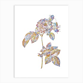 Stained Glass Pink Francfort Rose Mosaic Botanical Illustration on White n.0223 Art Print