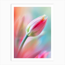 Floral Art 0009 Single Botanical 0000 Flower Blur 0000 Bp6586 Macro Photo Of A Heavenly Adorable Beautiful Rare Find 0bc Art Print