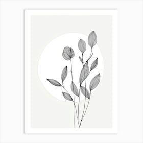 Flowers In A Circle Art Print