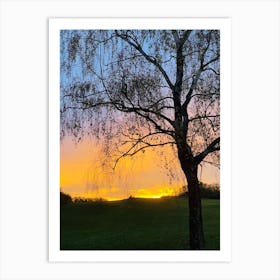 Sunset Over A Tree 2 Art Print