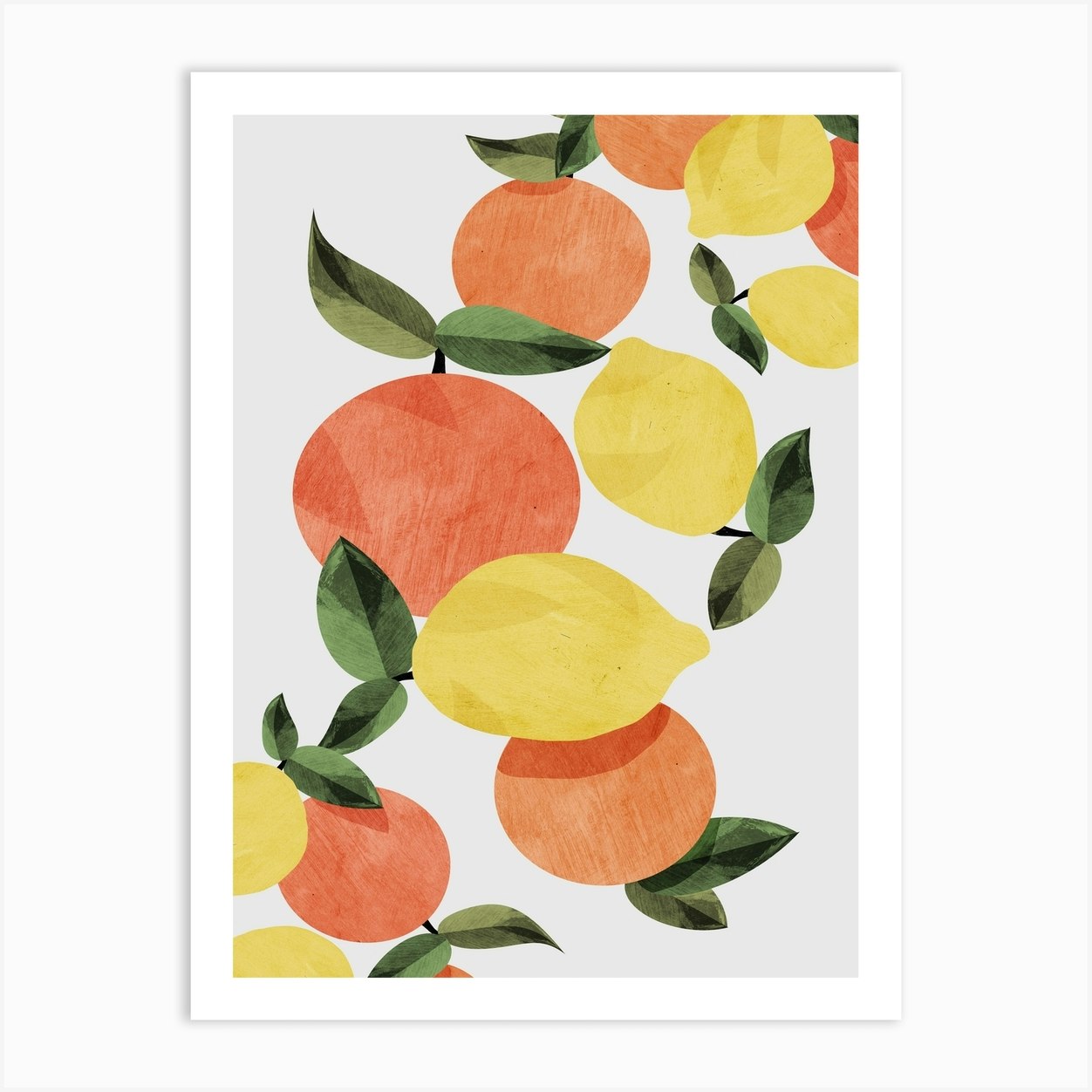 Oranges And Lemons Art Print By Dan Hobday Art Fy