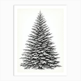 Fir Tree Pencil Sketch Ultra Detailed 10 Art Print