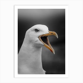 Funny Bird Face Art Print