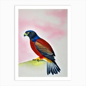 Falcon 2 Watercolour Bird Art Print