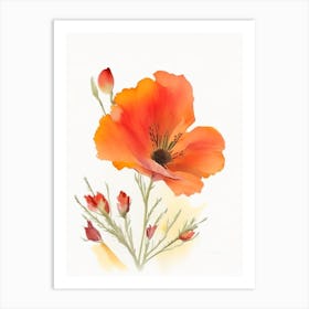 Desert Poppy Wildflower Watercolour 1 Art Print