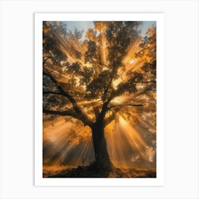 Tree Of Light Art Print