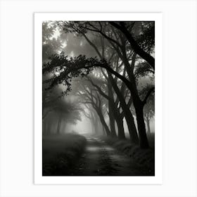 Misty Forest Art Print