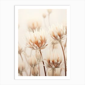 Boho Dried Flowers Protea 3 Art Print