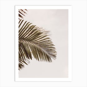 Palm Leaf Art Print