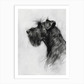 Briard Dog Charcoal Line 3 Art Print