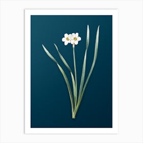 Vintage Primrose Peerless Botanical Art on Teal Blue n.0746 Art Print