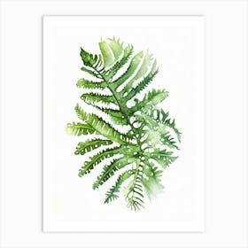 Christmas Fern Watercolour Art Print