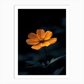 Dark Flower 4 Art Print