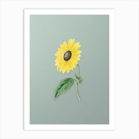 Vintage California Sunflower Botanical Art on Mint Green n.0204 Art Print
