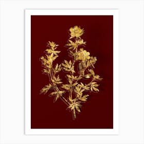 Vintage Yellow Buttercup Flowers Botanical in Gold on Red Art Print