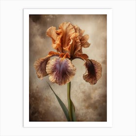 2024 May Poster Canvas Sng Iris 6 Art Print