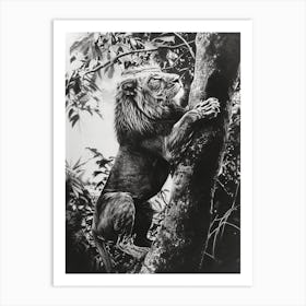 African Lion Charcoal Drawing Climbing A Tree 2 Art Print