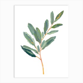 Eucalyptus 19 Art Print