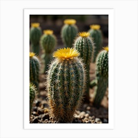 Cactus Flower 3 Art Print