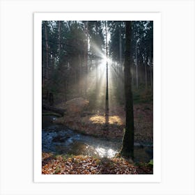 Sunbeams in the winter forest 1 Art Print