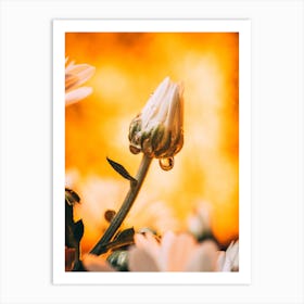 Poster Flower Art Print 24 Art Print