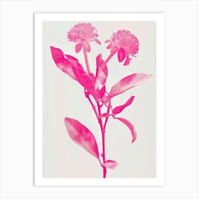Hot Pink Bergamot Art Print