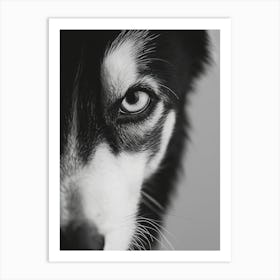 Black And White Dog Portrait Art Print