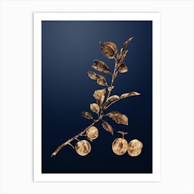 Gold Botanical Apricot on Midnight Navy n.2082 Art Print