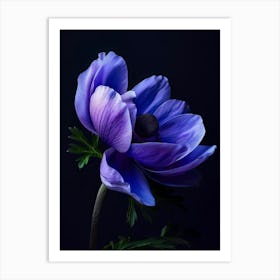 Poster Purple Beauty 3 Art Print