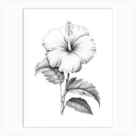 Hibiscus Flower Vintage Botanical 2 Art Print