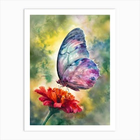 Butterfly On A Flower Art Print