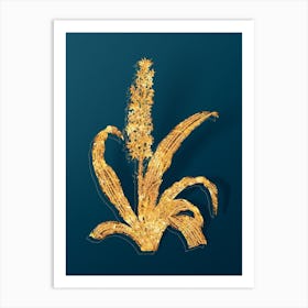 Vintage Eucomis Punctata Botanical in Gold on Teal Blue n.0339 Art Print