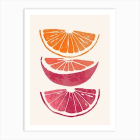 Orange Slices 8 Art Print