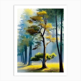 Trees In The Forest 3 Art Print