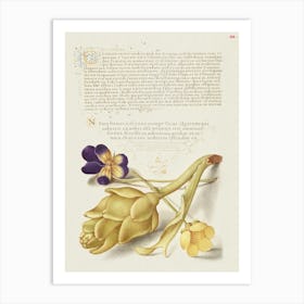 Wild Pansy And Artichoke From Mira Calligraphiae Monumenta, Joris Hoefnagel Art Print