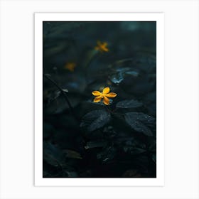 Yellow Flower In Water 1 Art Print