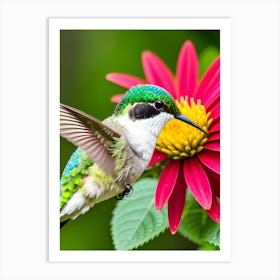 Female Ruby Throated Hummingbird -Reimagined 8 Art Print