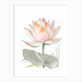 Lotus Flower In Garden Pencil Illustration 5 Art Print