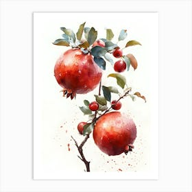 Watercolor Pomegranate Art Print