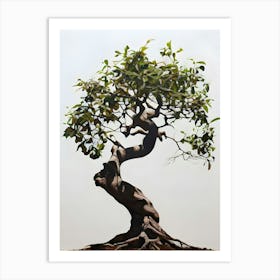 Bonsai Tree 1 Art Print