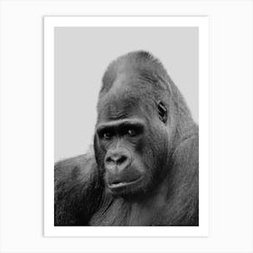 Gorilla Portrait Art Print