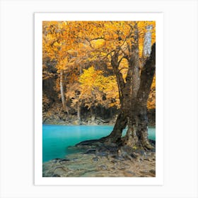 Autumn Trees In The River Art Print