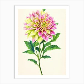 Dahlia Vintage Flowers Flower Art Print