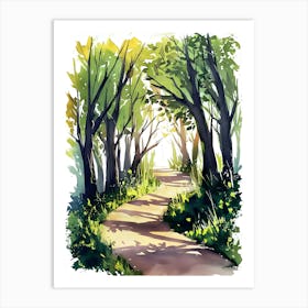 Watercolor Path In The Woods 1 Art Print