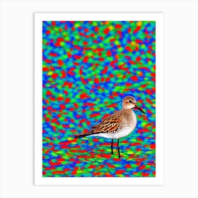 Dunlin Yayoi Kusama Style Illustration Bird Art Print