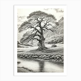 highly detailed pencil sketch of oak tree next to stream, mountain background 3 Art Print