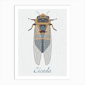 Cicada Bug Insect Australia Beetle 1 Poster